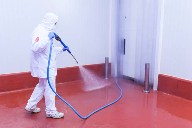 Best Warehouse Cleaning  in Nuevo, CA